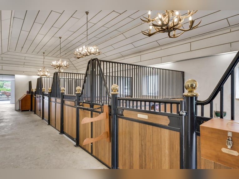 Exclusive Villa with Guesthouse and Equestrian Facilities near De Meinweg National Park