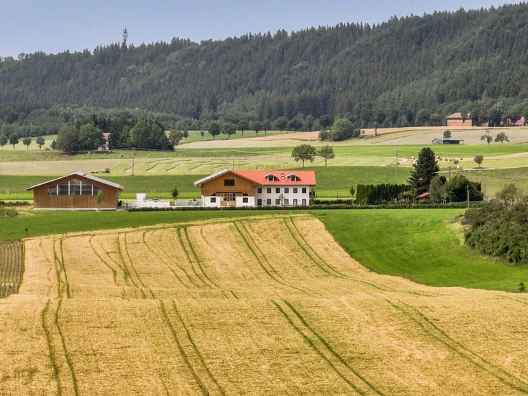 Exklusive Reitanlage mit Mehrfamilienhaus (4 WE) im Allgäu