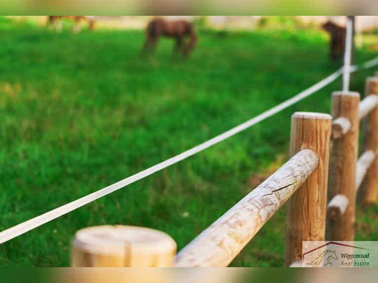 Exklusive Reitanlage mit umfangreicher Ausstattung nähe Düsseldorf NRW