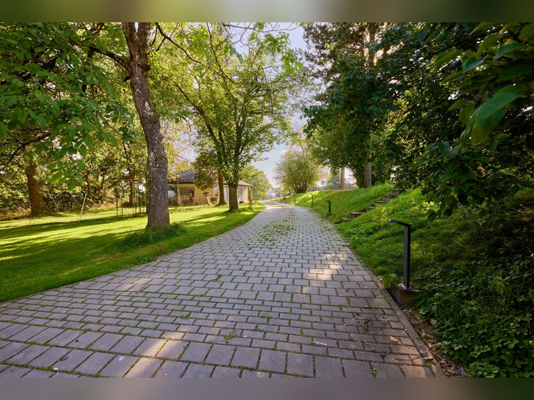 Exklusive Villa Nähe Wiesbaden – Wohnen auf höchstem Niveau mit Stallung & parkähnlichem Grundstück