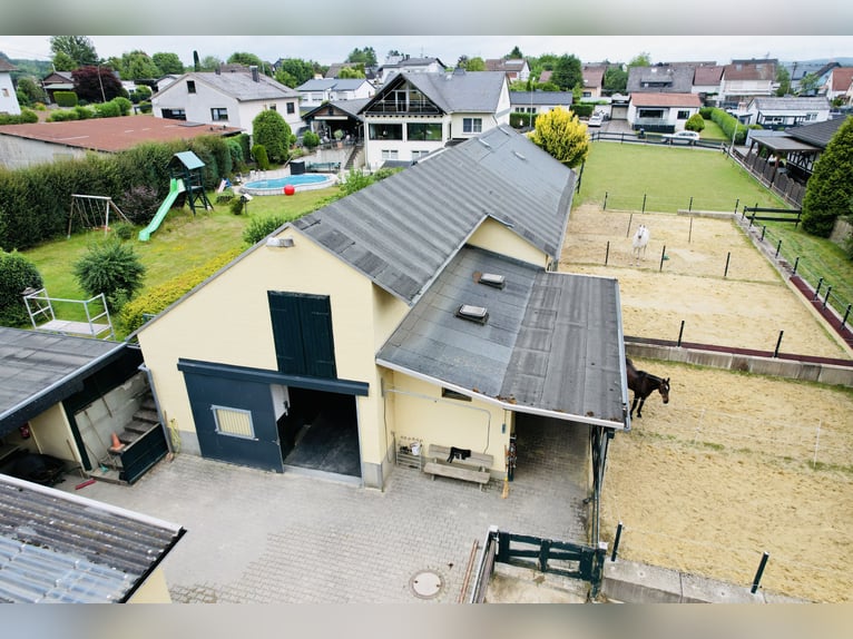 Exklusives Anwesen mit hochwertiger Reitanlage in traumhafter Lage