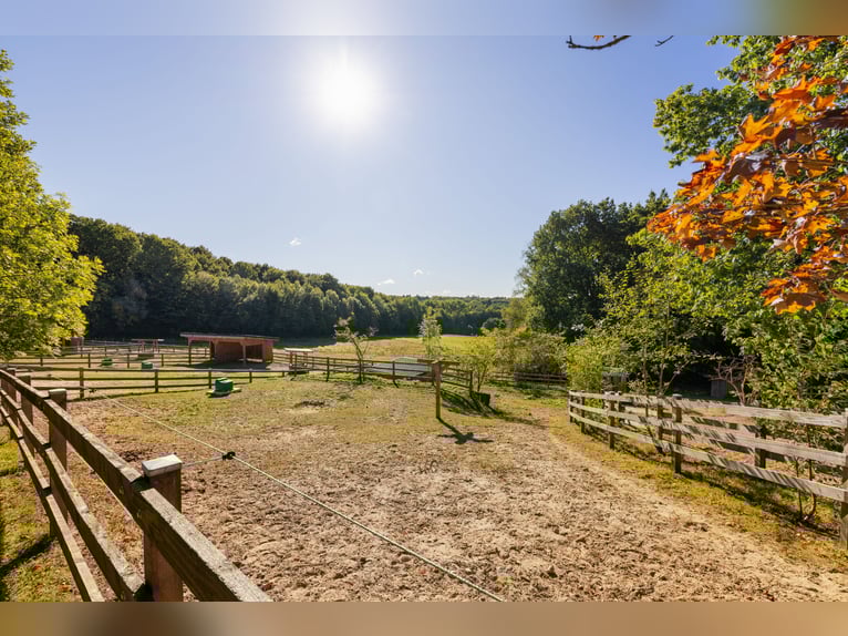 Exklusives Reitsportanwesen nahe Hamburg - 43 Hektar & neue Reithalle!