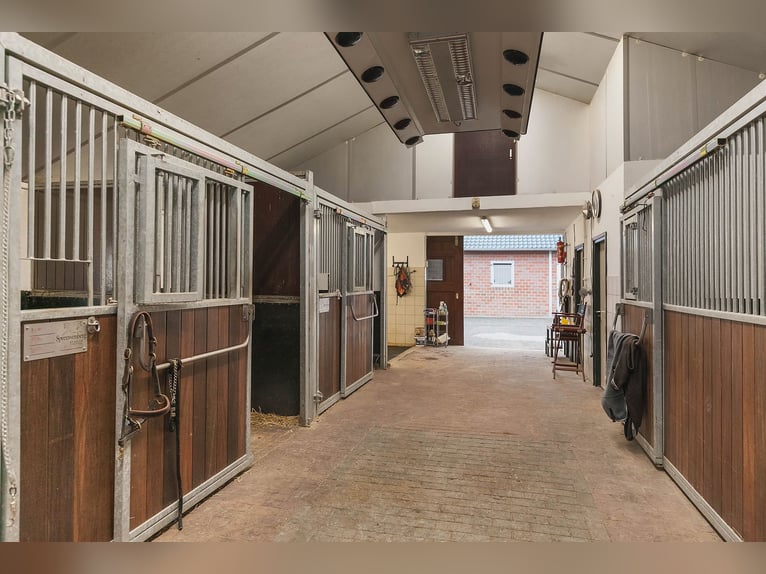 Exquisite private equestrian estate with Indoor arena, stables, and luxurious residence