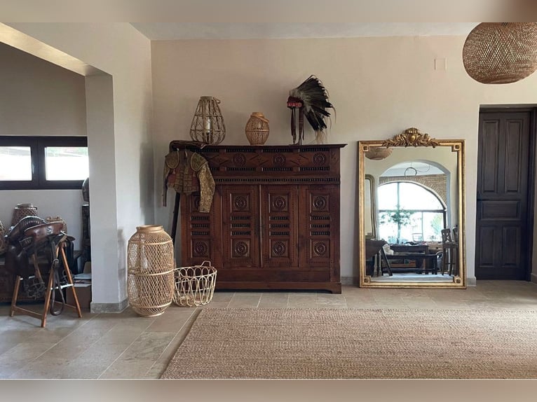 Finca De Ensueño de meer dan 90 ha nabij Sevilla