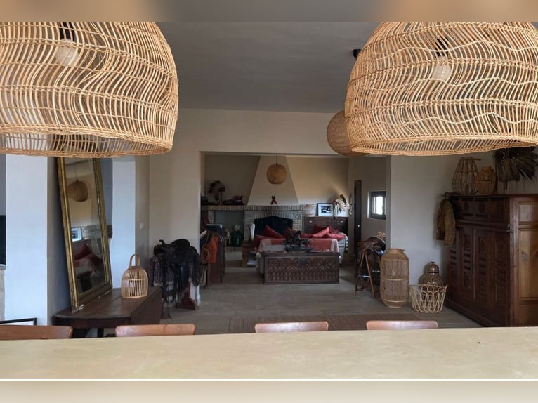 Finca De Ensueño de meer dan 90 ha nabij Sevilla