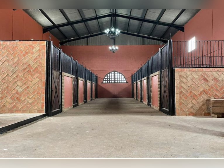 Finca De Ensueño de meer dan 90 ha nabij Sevilla