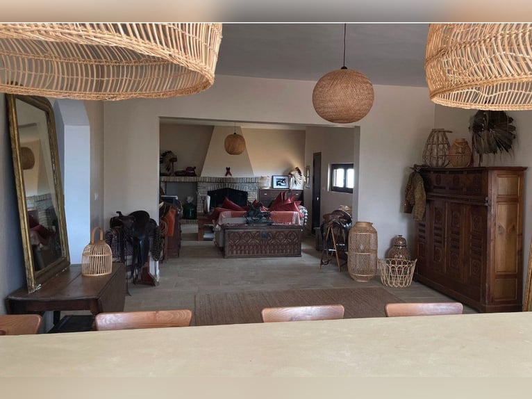 Finca De Ensueño de meer dan 90 ha nabij Sevilla