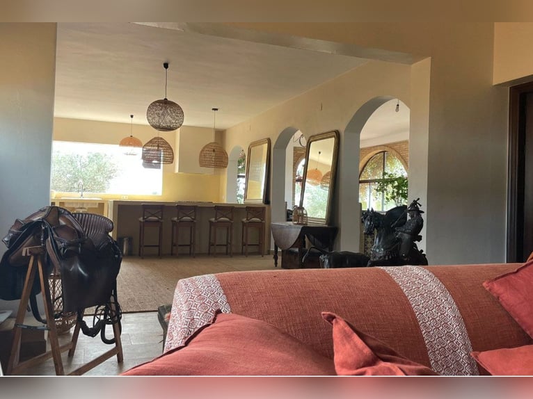 Finca De Ensueño de meer dan 90 ha nabij Sevilla