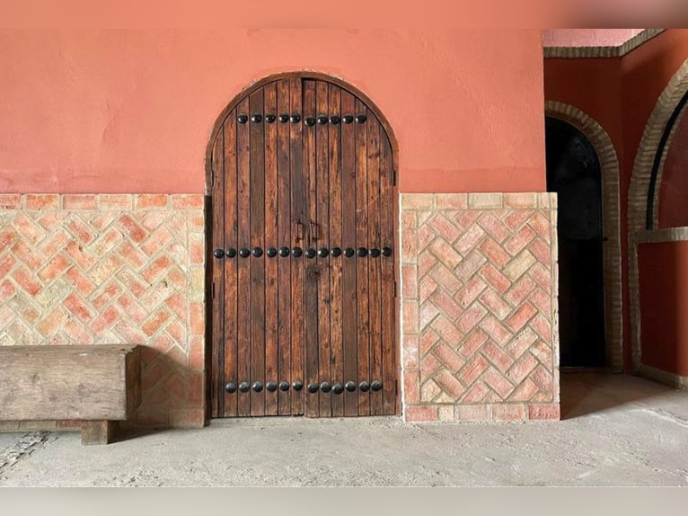 Finca De Ensueño de meer dan 90 ha nabij Sevilla