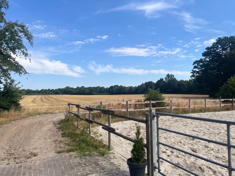 Gemoderniseerde boerderij met paardenhouderij en zelfstandige woonruimte
