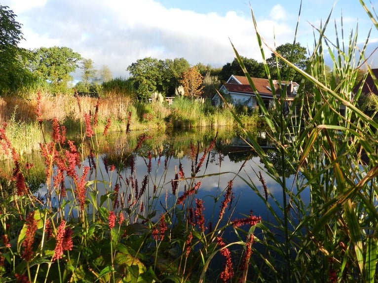 GREEN CARE PROJECT - DROOMHAAFTIGE Buitenruimte met bijzonder bouwplan - 376-24