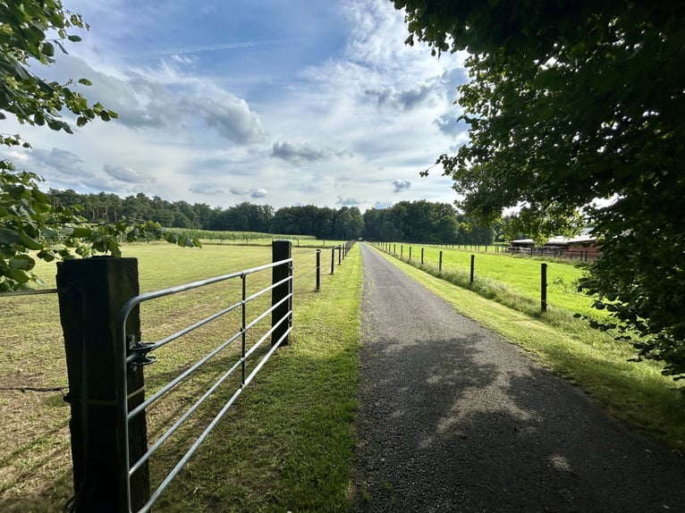 Groot landhuis met paardenhouderij, rijbaan en een prachtig parkachtig tuin in een privéomgeving