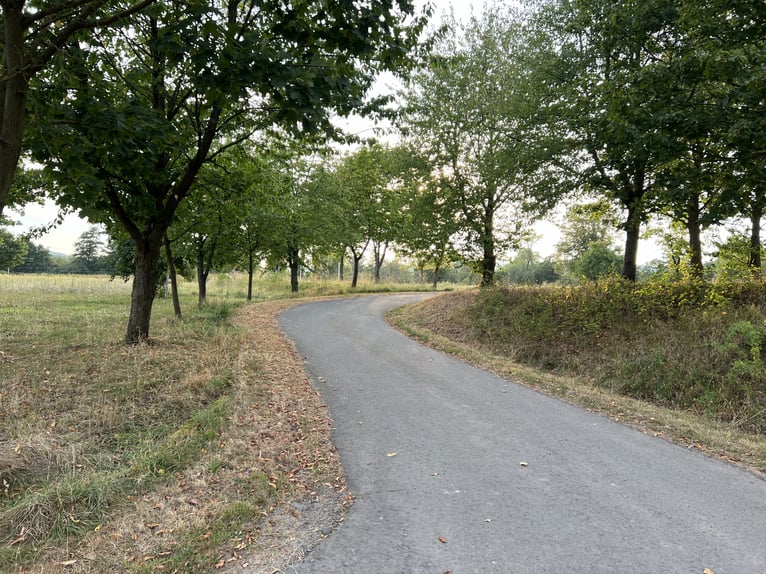 Große Reitanlage zu verkaufen - Rheinland-Pfalz - Nähe Kaiserslautern 