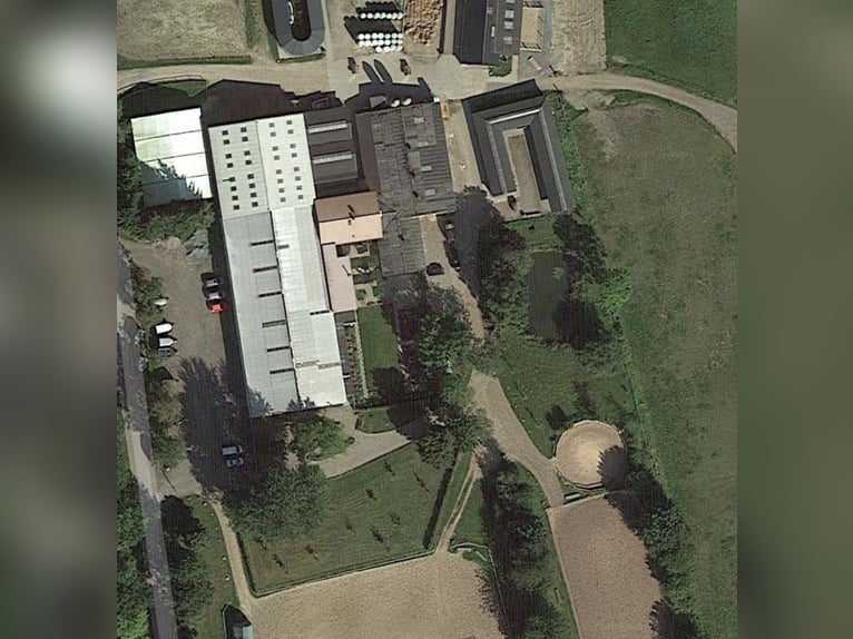 Grote paardenaccommodatie bij Kiel met een uitstekende ligging, meerdere woningen en diverse gebruik