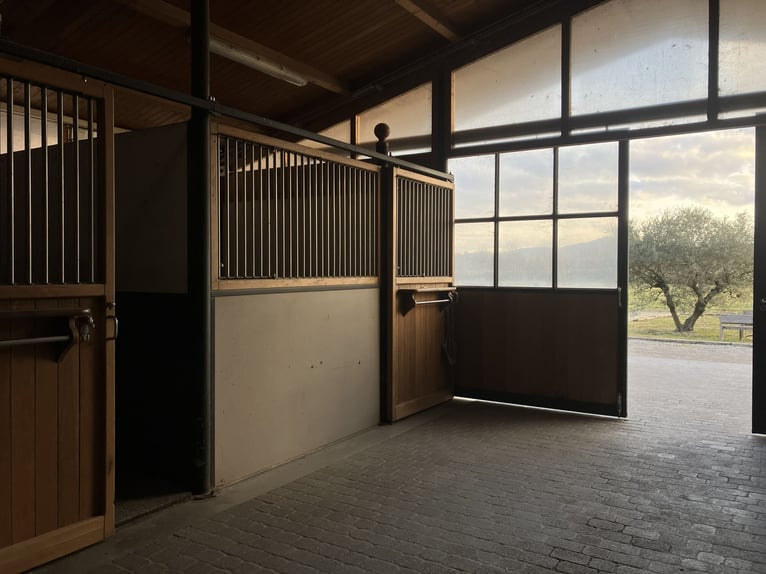 High-end sportstal

(Note: "Ecurie de sport haut de gamme" wird im Niederländischen als "High-end sp