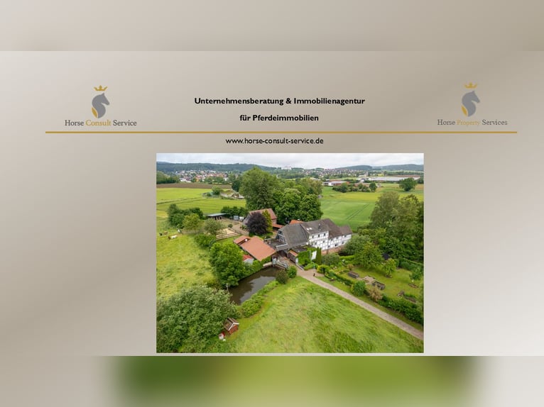 Historisch molenlandgoed in afgelegen locatie met paardenhouderij, waterkracht en aantrekkelijke ink