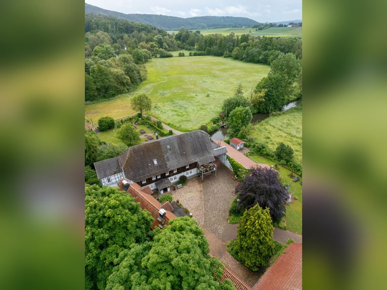 Historisch molenlandgoed in afgelegen locatie met paardenhouderij, waterkracht en aantrekkelijke ink