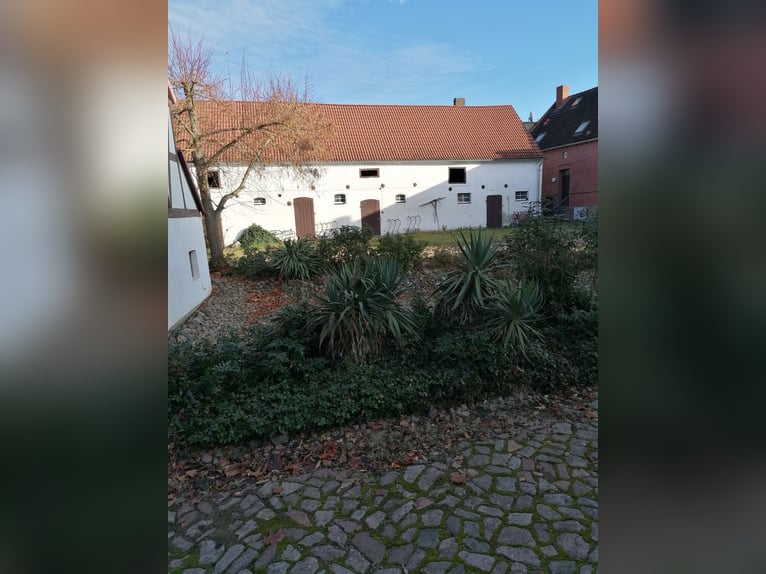 Historisch vierkantboerderij met herenhuis en potentieel voor paardenhouderij