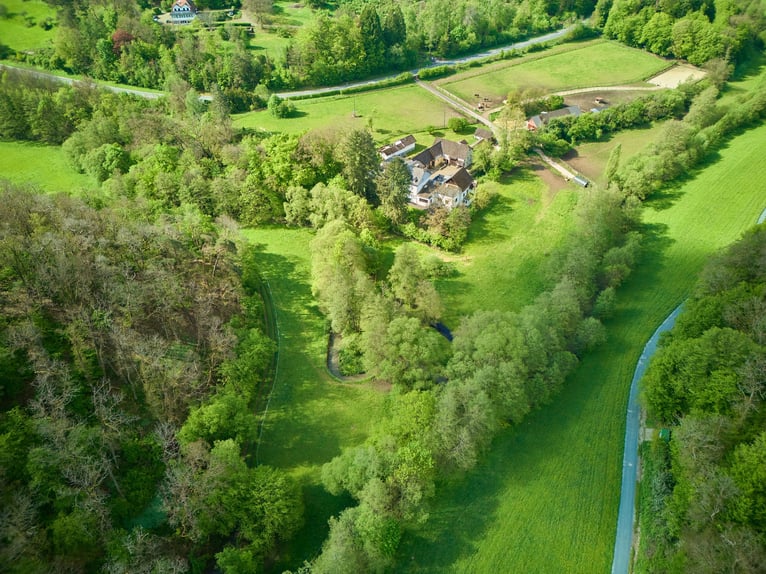 Historisches Mühlenanwesen mit Hotelbetrieb, Pferdepension und Entwicklungspotenzial im Hochtaunus!