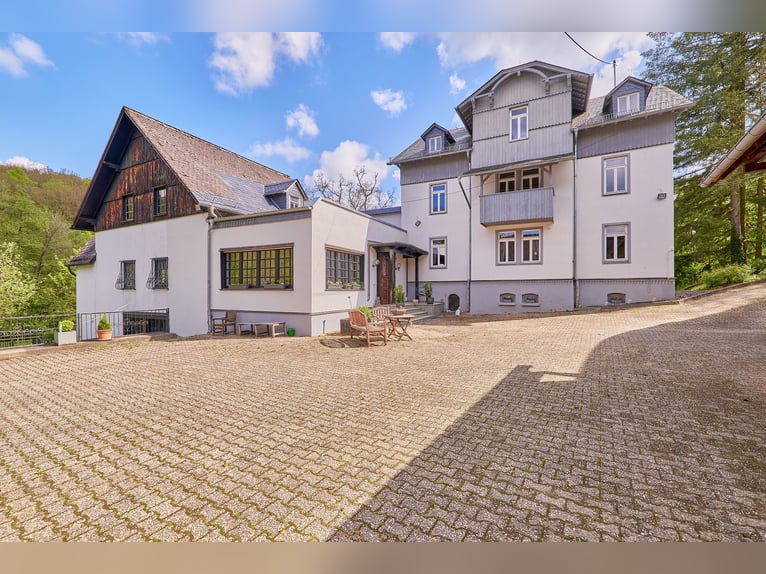Historisches Mühlenanwesen mit Hotelbetrieb, Pferdepension und Entwicklungspotenzial im Hochtaunus!