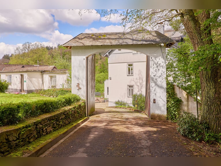 Historisches Mühlenanwesen mit Hotelbetrieb, Pferdepension und Entwicklungspotenzial im Hochtaunus!