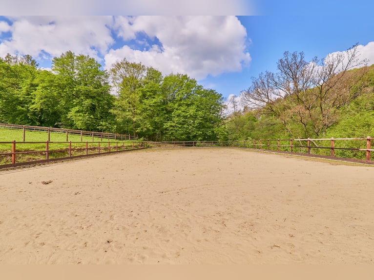 Historisches Mühlenanwesen mit Hotelbetrieb, Pferdepension und Entwicklungspotenzial im Hochtaunus!