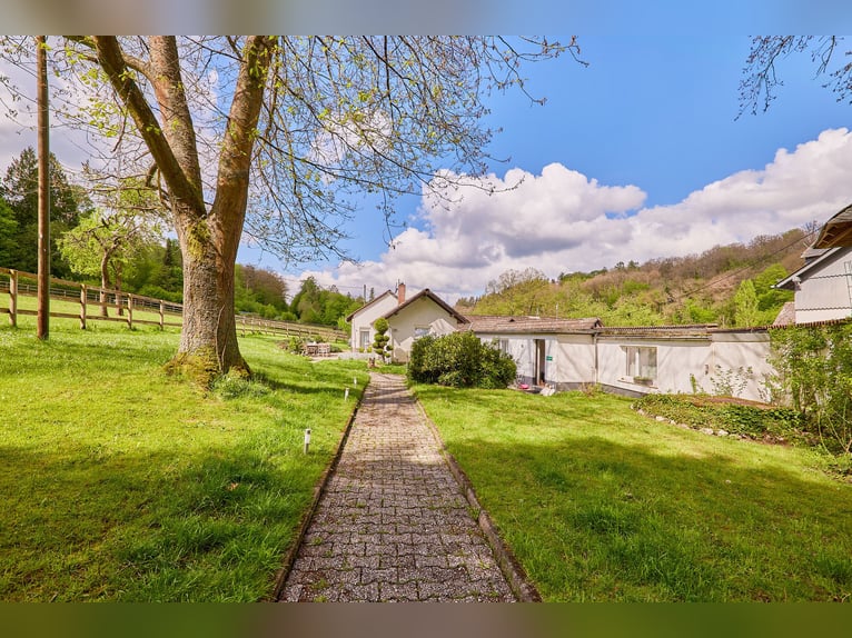 Historisches Mühlenanwesen mit Hotelbetrieb, Pferdepension und Entwicklungspotenzial im Hochtaunus!