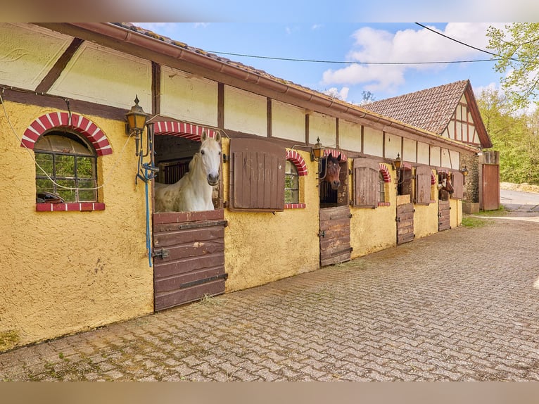 Historisches Mühlenanwesen mit Hotelbetrieb, Pferdepension und Entwicklungspotenzial im Hochtaunus!