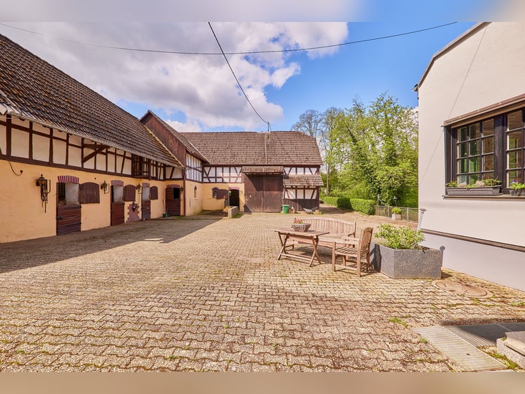 Historisches Mühlenanwesen mit Hotelbetrieb, Pferdepension und Entwicklungspotenzial im Hochtaunus!