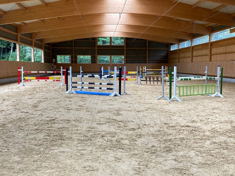 Hochwertige Reitsportimmobilie für den professionellen  Bereich