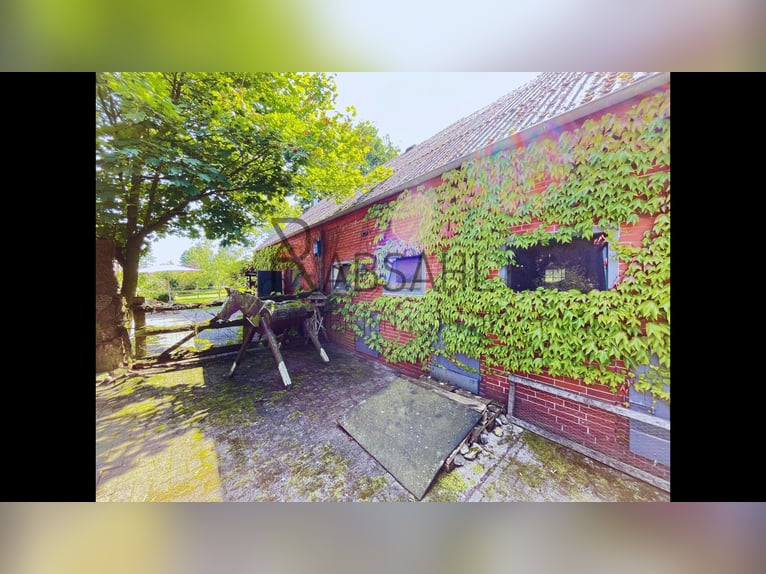 Hofensemble mit ausgebauter Tenne und 1,6ha Land direkt am Haus! Genehmigte Pferdehaltung!