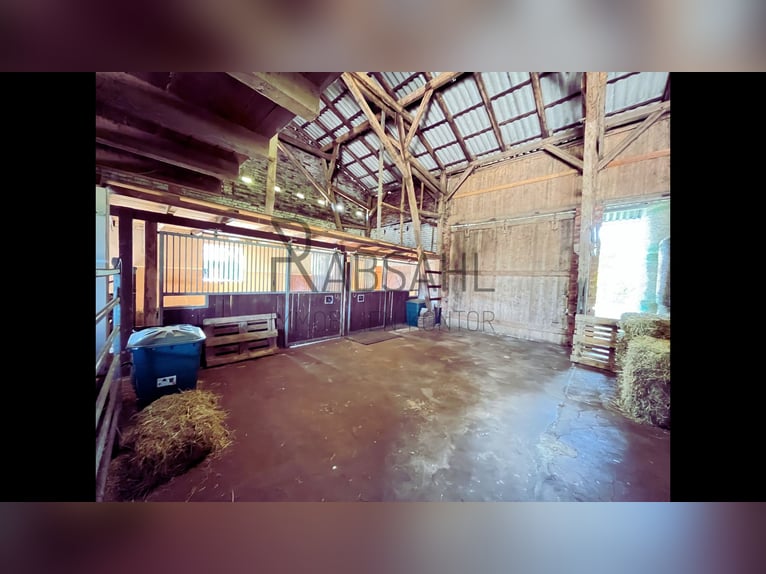Hofensemble mit ausgebauter Tenne und 1,6ha Land direkt am Haus! Genehmigte Pferdehaltung!