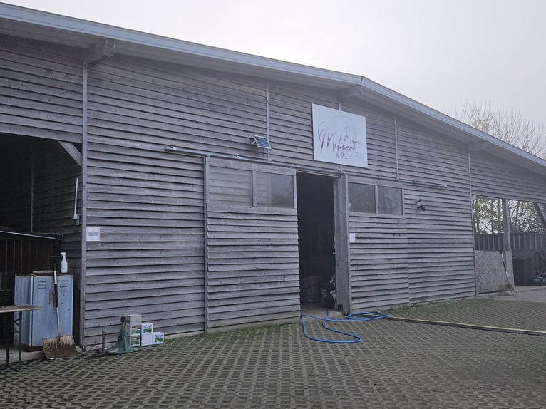 Hoogrenderende paardenpension met veel land voor diervriendelijke paardenhouderij op een privélocati