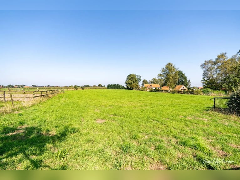 Hoogwaardig afgewerkte villa met stalgebouw en aanpalende weides op ca. 1,7 ha te Herenthout