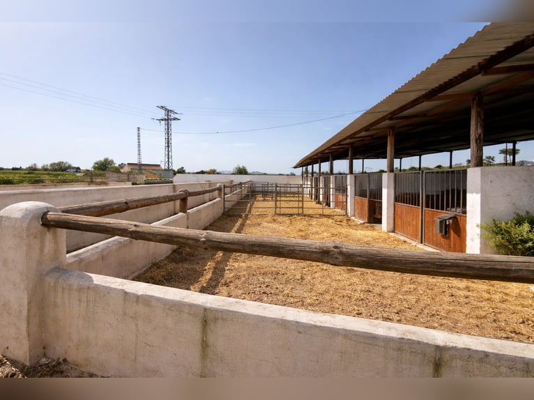 Huis met Paardensportfaciliteiten