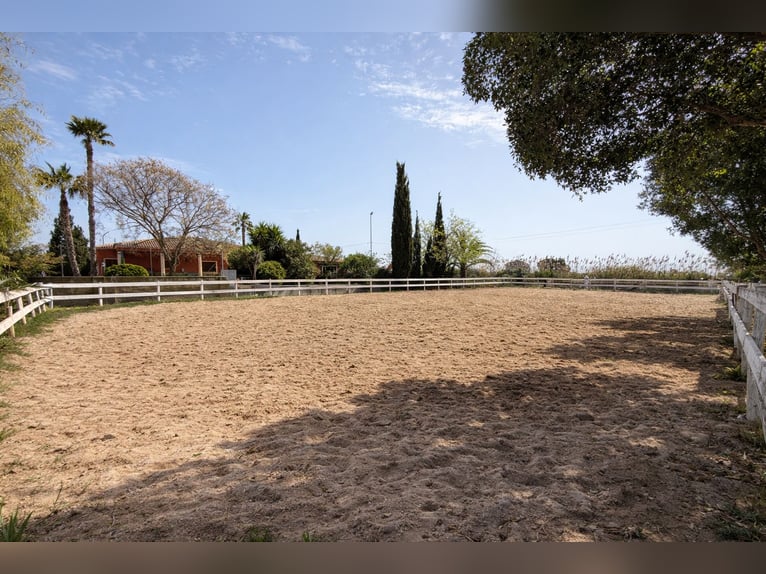 Huis met Paardensportfaciliteiten