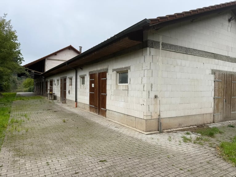 Idyllisch landelijk landgoed met woonhuis en stallen in Unterfranken