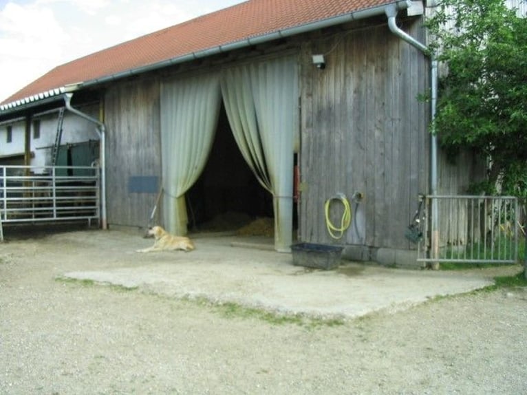 Kleine paddock in Altstetten/Erdweg heeft een plek vrij.