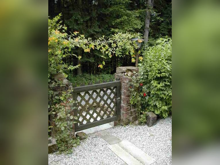 Kleine parel in het Odenwald (huis met boxen en rijbaan)