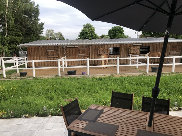 Kleine Reitanlag mit Wohnhaus zu Verkaufen