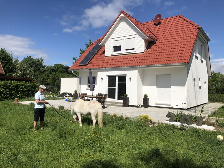 Kleine Reitanlag mit Wohnhaus zu Verkaufen