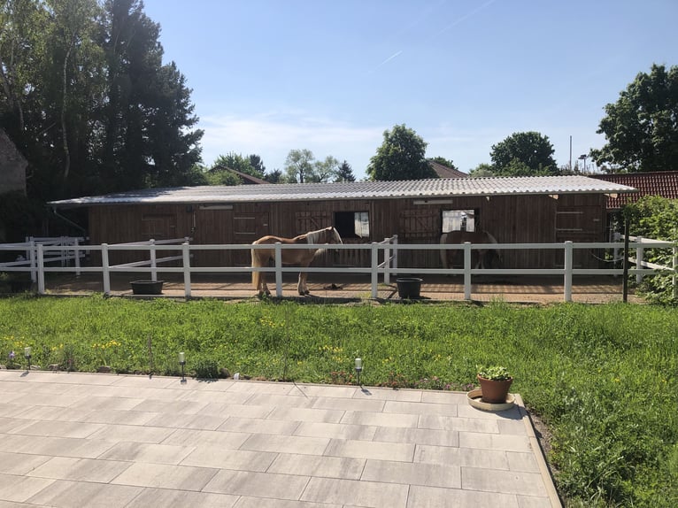 Kleine Reitanlag mit Wohnhaus zu Verkaufen