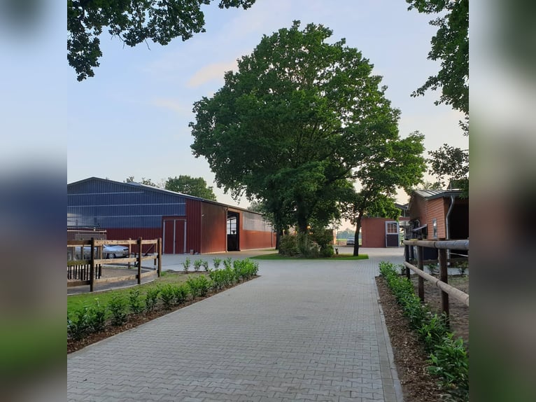 Kompletter Stalltrakt 8 Pferdeboxen zu verpachten 