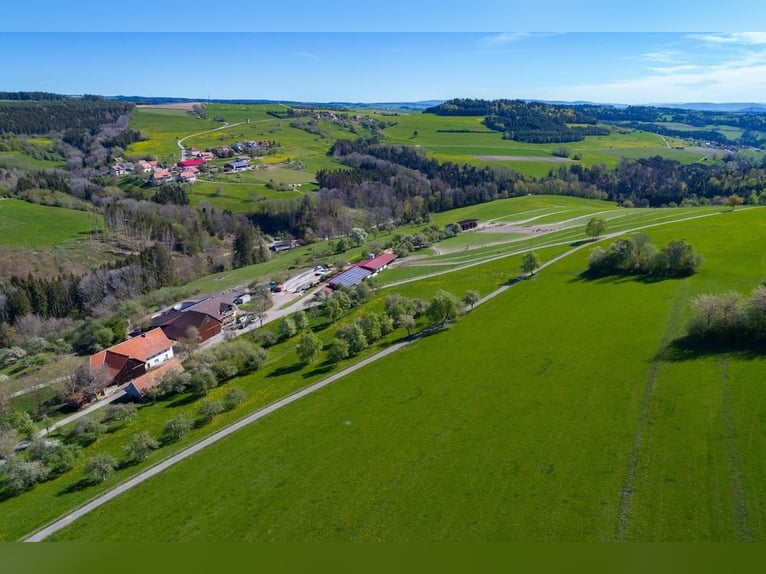 Landgoed met 47 hectare in Zuid-Zwarte Woud – ideaal als ruiterijcomplex