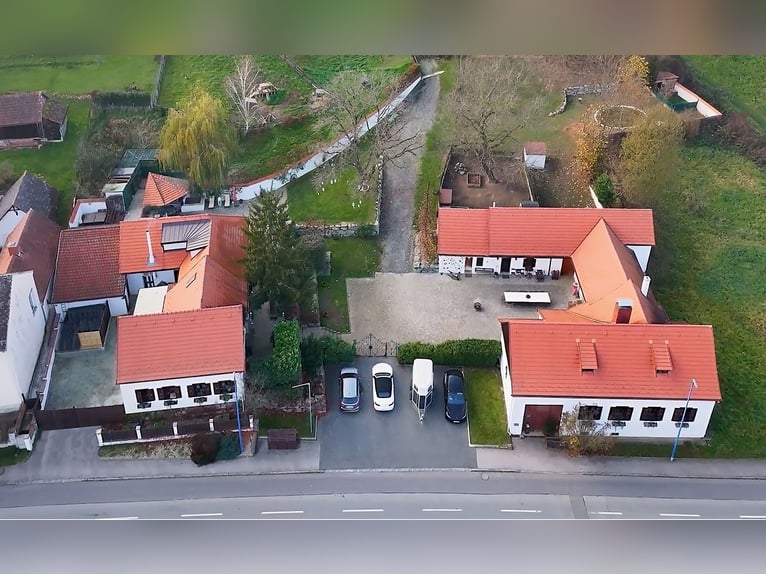 Landgoed met paardenhouderij te koop