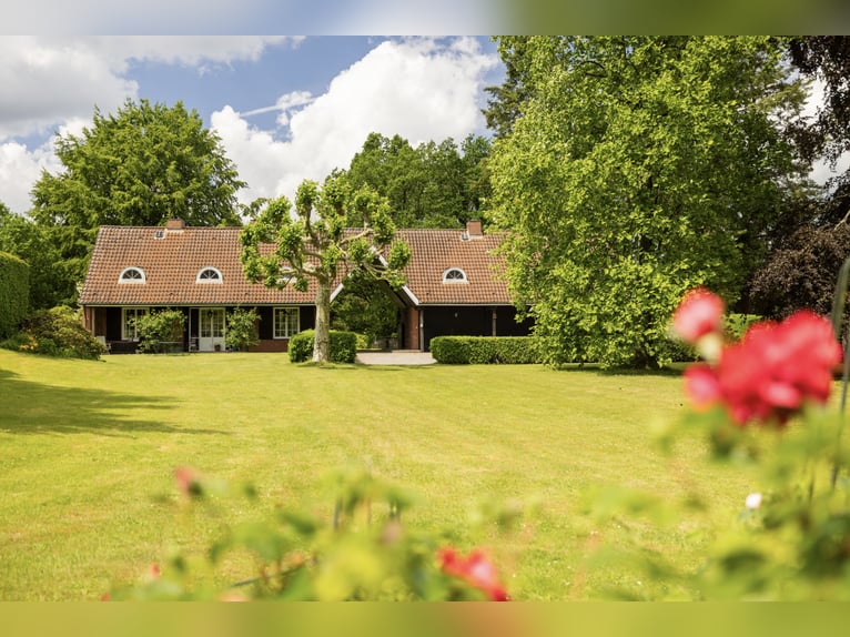 Landgoed met torenhuis, 2 schuren, bouwterrein en weiland in de Lüneburger Heide