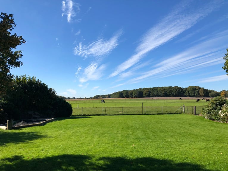 Landhaus für Pferdeliebhaber mit traumhaftem Blick