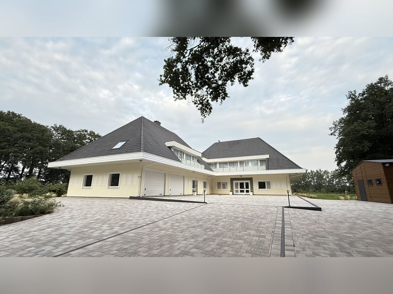 Landhuis bij Balge: volledig gerenoveerde villa, binnenmanege op een omheind parkterrein van 2,4 hec