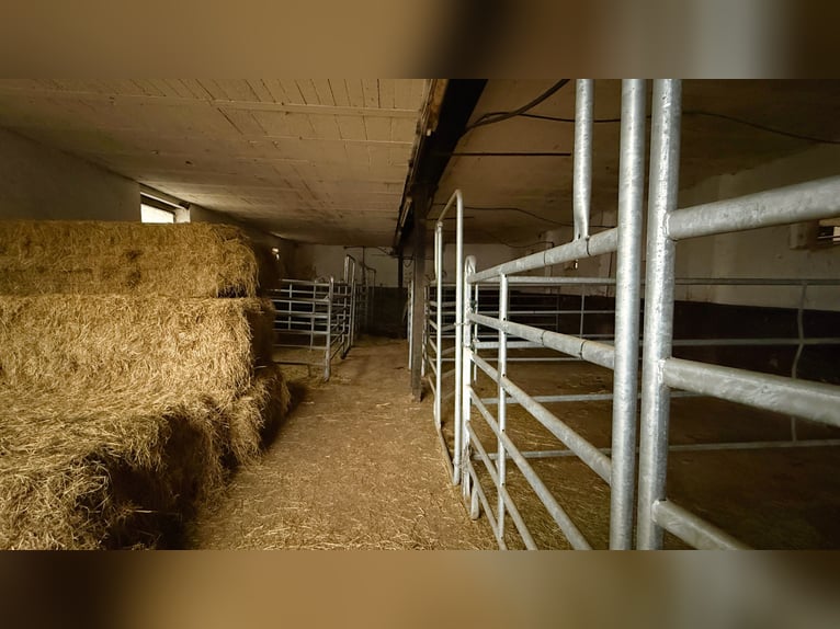 Landhuis met paardenbak, stallen en ruime pachtgronden