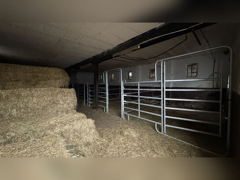 Landhuis met paardenbak, stallen en ruime pachtgronden